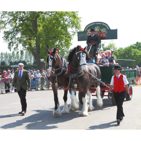 London Harness Horse Parade