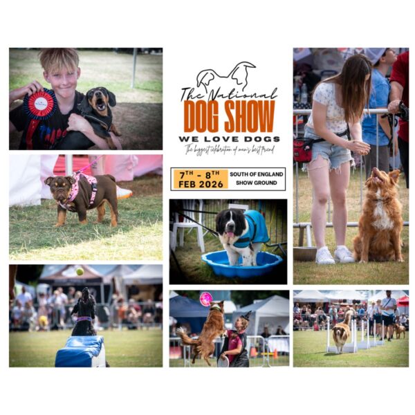 We Love Dogs- Dog Show